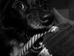 Fotoblog malinaxphotography