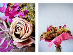 Fotoblog xferocityx