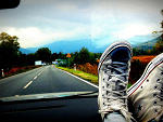 Fotoblog bestrose