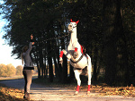 Fotoblog teqilasunrise