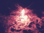 Fotoblog unforgivenspell