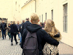 Fotoblog littleluckybird