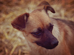 Fotoblog amandaaaa99