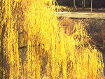 Fotoblog heatherlia1