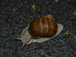 Fotoblog arisstos