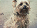 Fotoblog yousoflawless