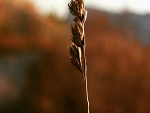 Fotoblog veniii