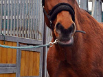 Fotoblog gabu33