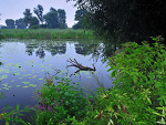Fotoblog kuter