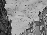 Fotoblog broniesiejagodami