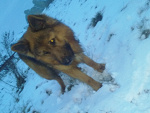 Fotoblog iwonka5702