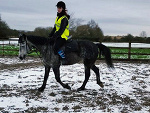 Fotoblog nativehorse