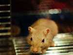 Fotoblog findmeaning