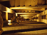 Fotoblog piciu