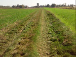 Fotoblog kasiaafoto