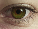Fotoblog kisielkowy