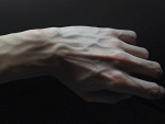 Fotoblog jenesuispasmince