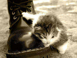 Fotoblog emilyrose18
