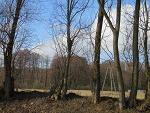 Fotoblog tonietaabajka