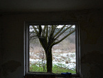 Fotoblog forbiddenfriut