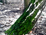 Fotoblog olgonn