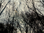 Fotoblog mloda040