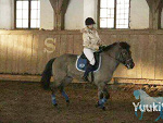 Fotoblog yuuki94