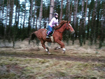 Fotoblog martha1648
