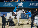 Fotoblog equinephoto