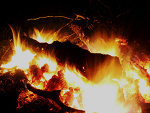 Fotoblog krokodylgabrys