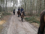 Fotoblog jasawa