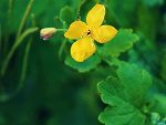 Fotoblog 9556