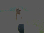 Fotoblog kreatywna19
