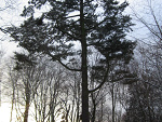 Fotoblog shootpicturesforfun