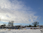 Fotoblog hakuunaamatata