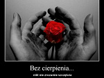 Fotoblog agaaa2212