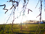 Fotoblog edytamyrcha