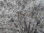 Fotoblog viaggionellaluna