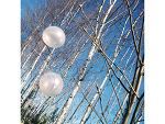 Fotoblog xxzola