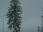 Fotoblog kyngaaa17