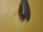 Fotoblog dezoksyrybonukleina