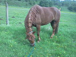 Fotoblog ip4sa