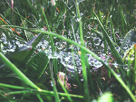 Fotoblog banusiowyraj