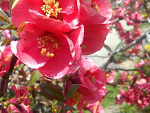 Fotoblog fotografod12