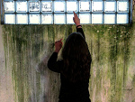 Fotoblog wszulc