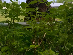 Fotoblog sylwiahods1993