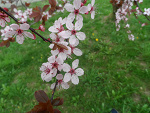 Fotoblog gosik96