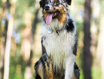 Fotoblog nikitaaap