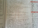 Fotoblog peepi