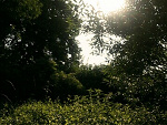 Fotoblog kingadawca